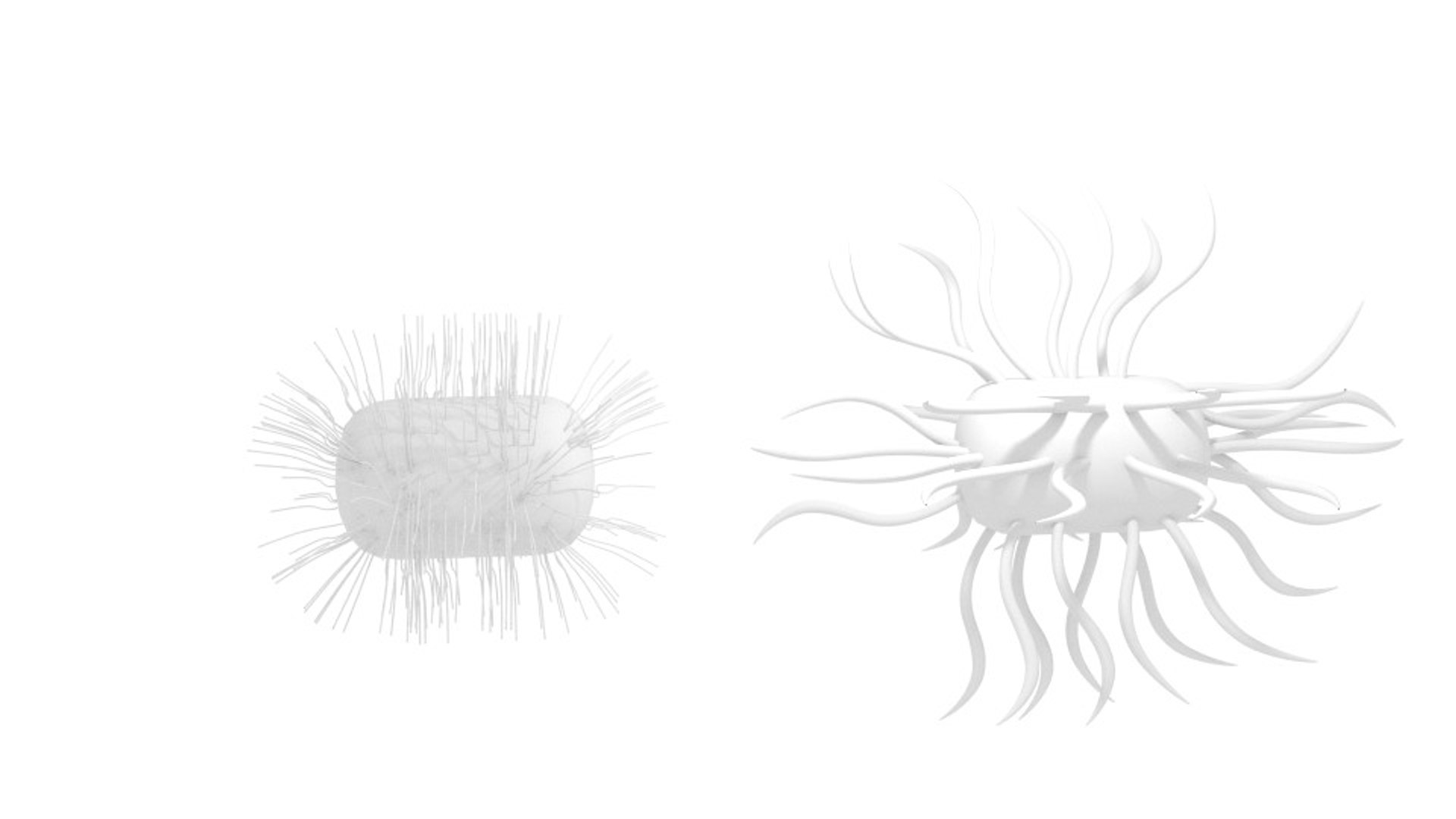 3d model micro parasite https://p.turbosquid.com/ts-thumb/f4/Iycnfn/TRnMws8e/grtrdrx5/jpg/1455554494/1920x1080/fit_q87/ebdc71439a9d18ce21088da7d76ab03a5e5498c1/grtrdrx5.jpg