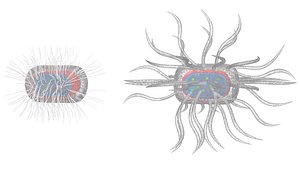 Micro Parasite