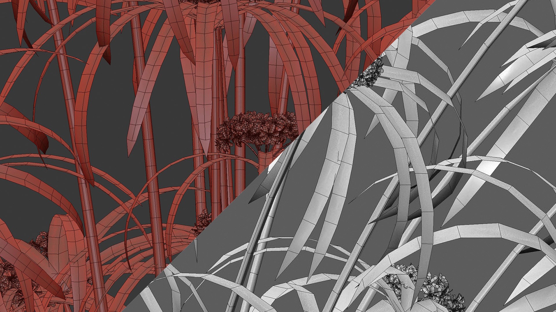 Cyperus alternifolius - Umbrella Plant 3D https://p.turbosquid.com/ts-thumb/f4/J1T3pe/1w/3dtree_cyperus_alternifolius_13/jpg/1765155695/1920x1080/fit_q87/babde70509f76cea4e8da410e625f142c782d755/3dtree_cyperus_alternifolius_13.jpg