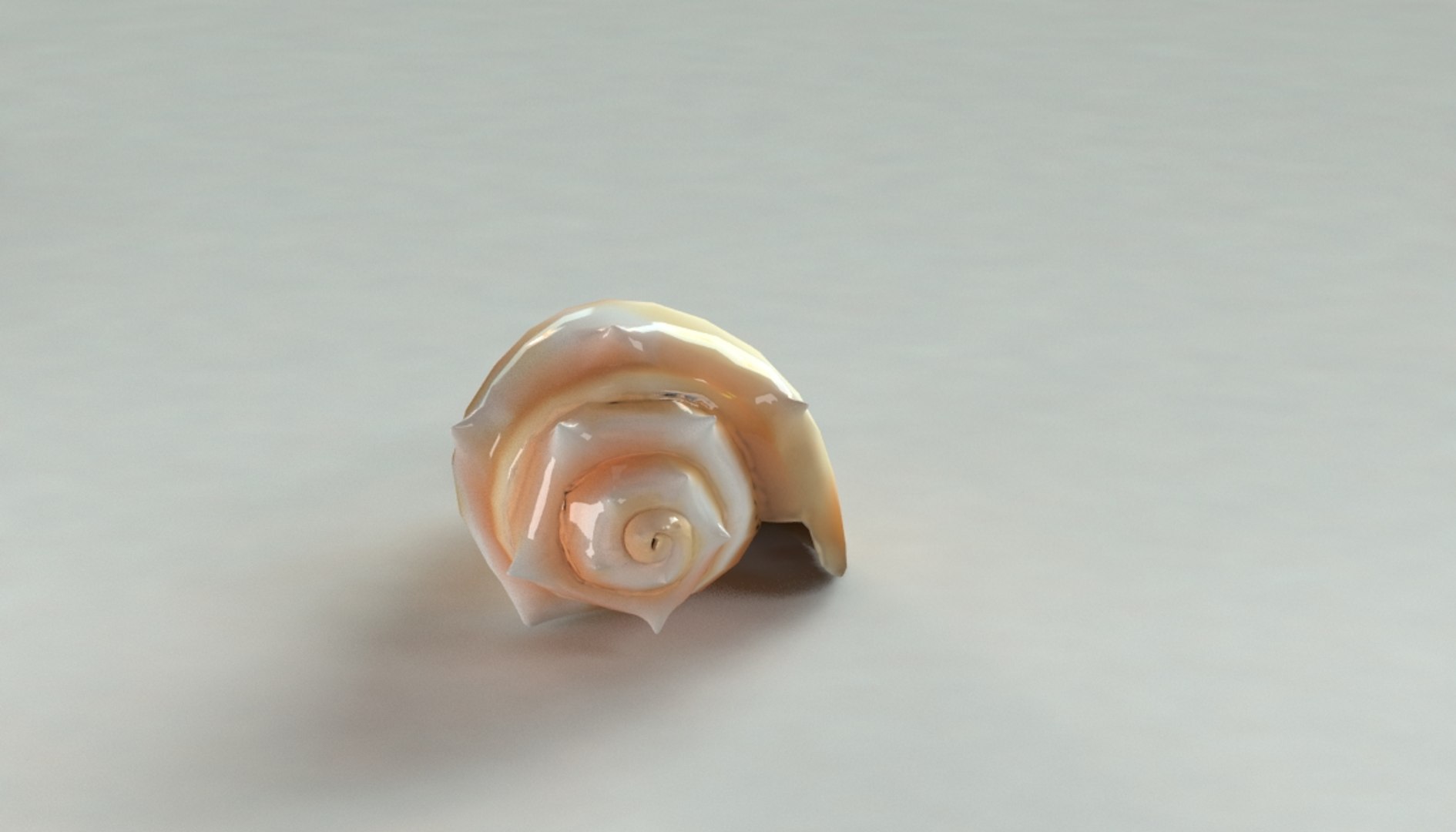 Max Caracol Shell