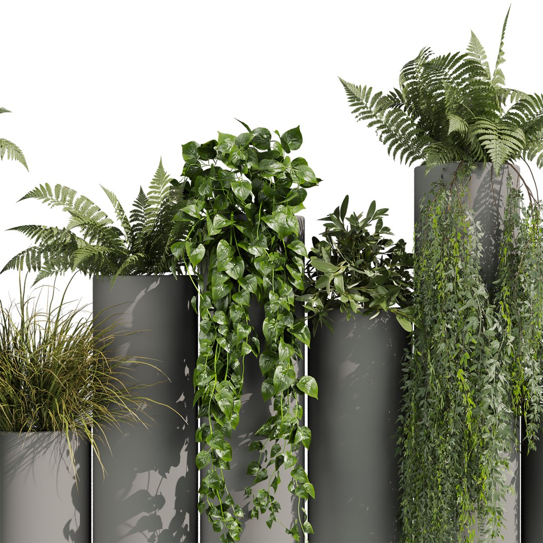 plant vol 1015 -  Lady ferns - ivy - pothos - bush 3D model https://p.turbosquid.com/ts-thumb/f4/UtANQo/p2/2/jpg/1788969393/1920x1080/fit_q87/31c2a3f3200c9142817771e40cdcf056446b76de/2.jpg