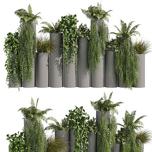 plant vol 1015 -  Lady ferns - ivy - pothos - bush 3D model