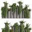 pianta vol 1015 - Felci - edera - pothos - cespuglio