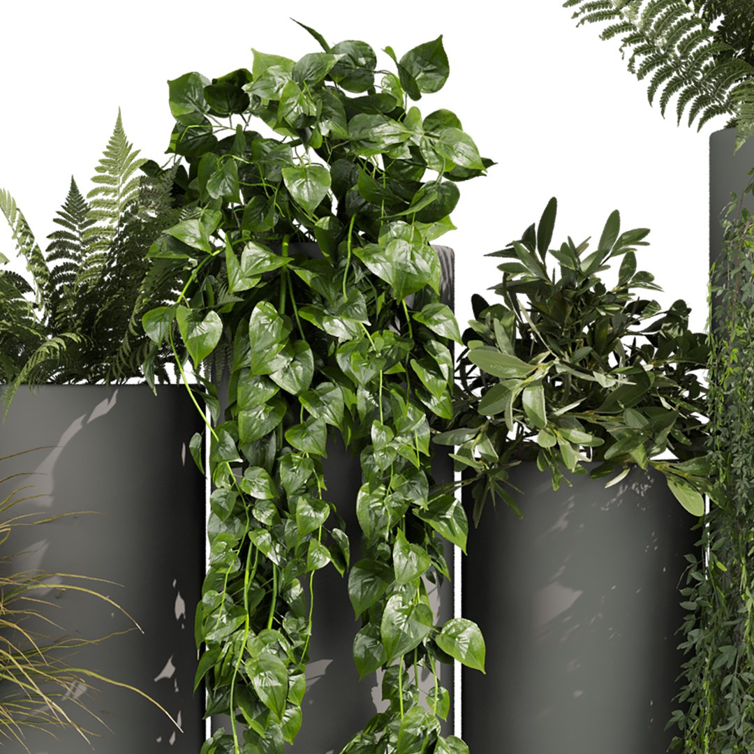 plant vol 1015 -  Lady ferns - ivy - pothos - bush 3D model https://p.turbosquid.com/ts-thumb/f4/UtANQo/rM/5/jpg/1788969396/1920x1080/fit_q87/e71cb90588d8bb964eaf11673853d7aba0ac0f90/5.jpg