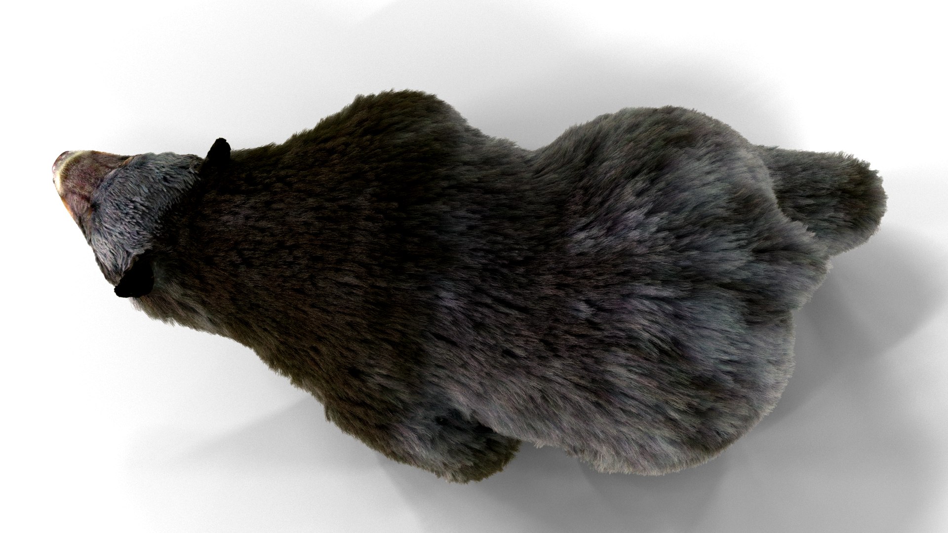 3D bear fur animation https://p.turbosquid.com/ts-thumb/f4/cU6pln/S5/pose04/png/1618551343/1920x1080/fit_q87/5adb37832d2ba8276540cd35792eed15bbcd187f/pose04.jpg