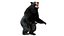 Pelz Schwarzbär animiert