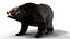 Pelz Schwarzbär animiert