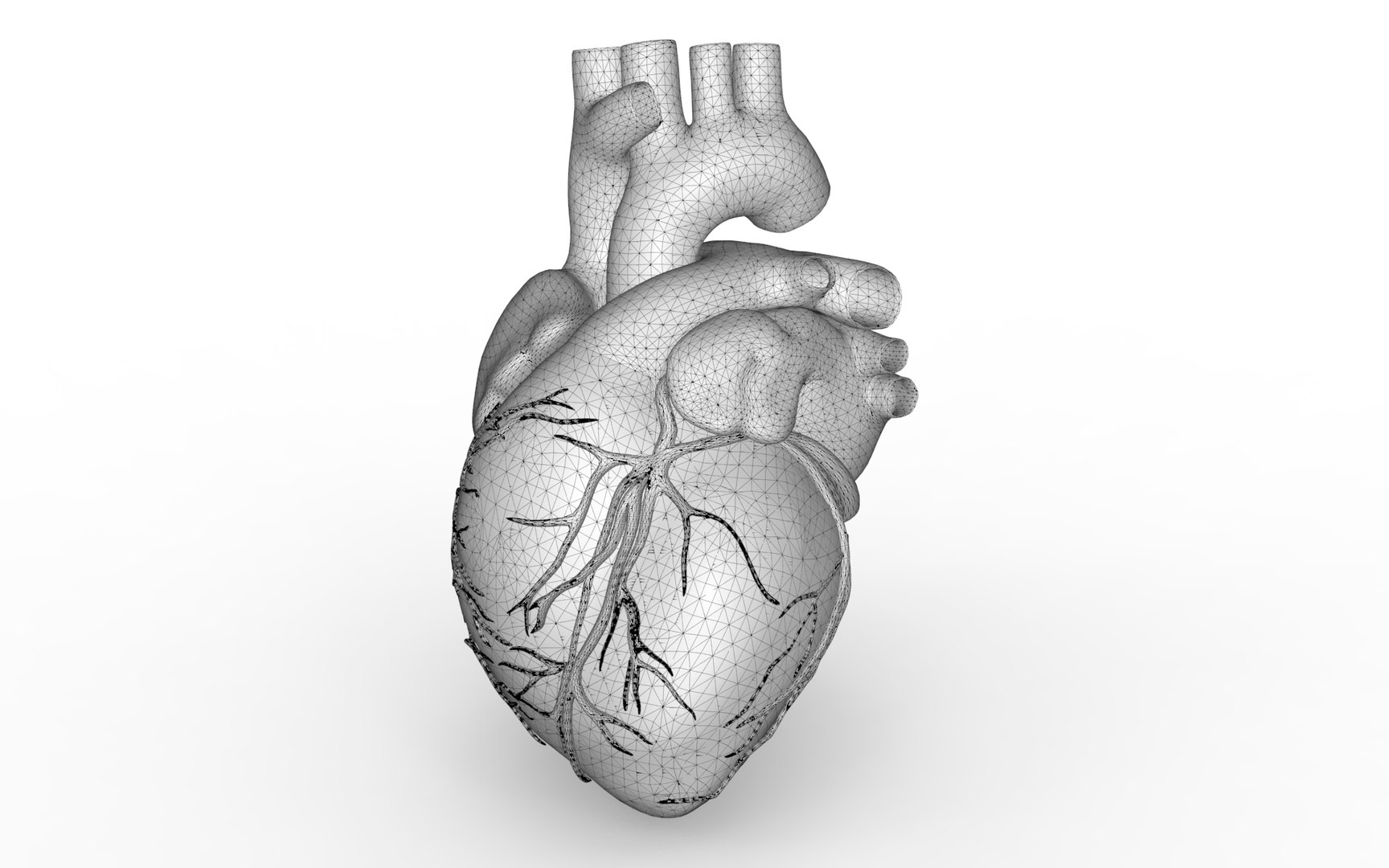 Human Heart Max