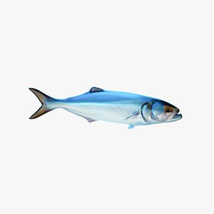 Fish2 model
