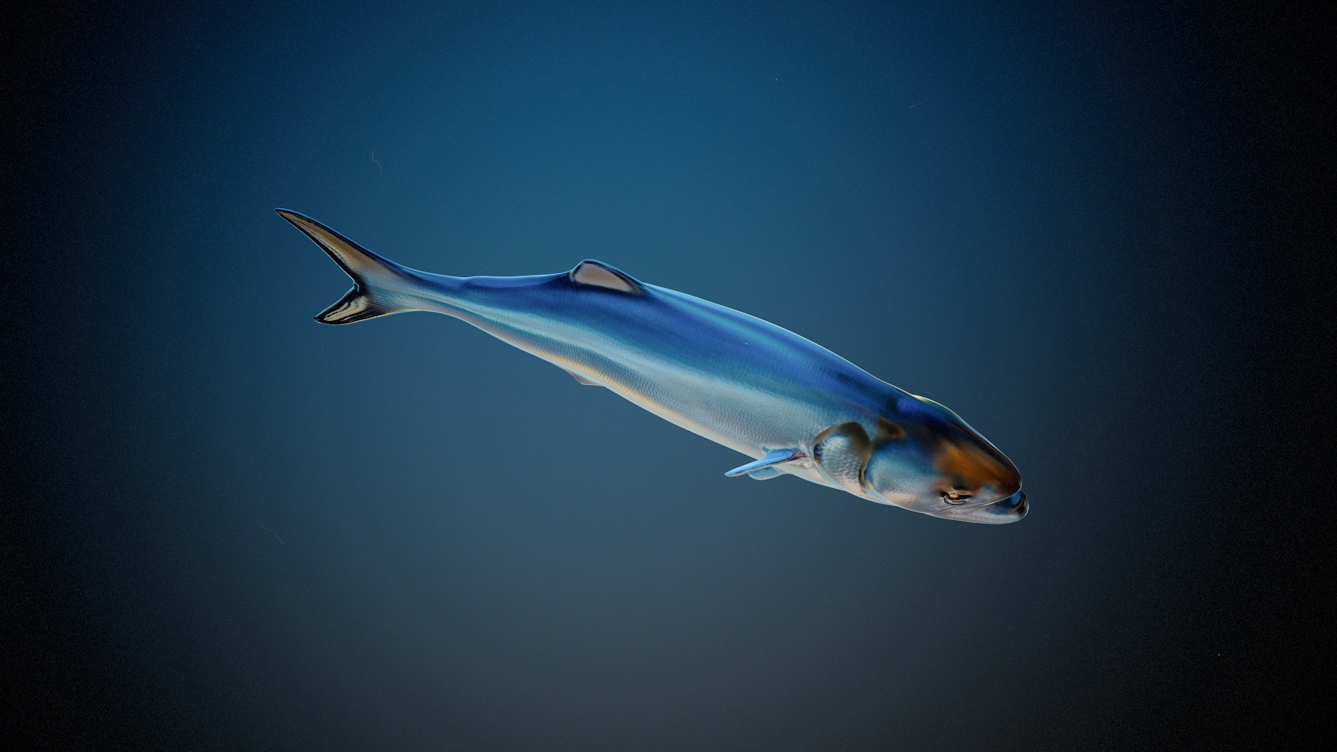 Fish2 model https://p.turbosquid.com/ts-thumb/f4/ins30c/Tk/ren1_001/jpg/1739180403/1920x1080/fit_q87/5d9ea8b5eaef2cf79f9b66e52fe6a7da98b910fc/ren1_001.jpg