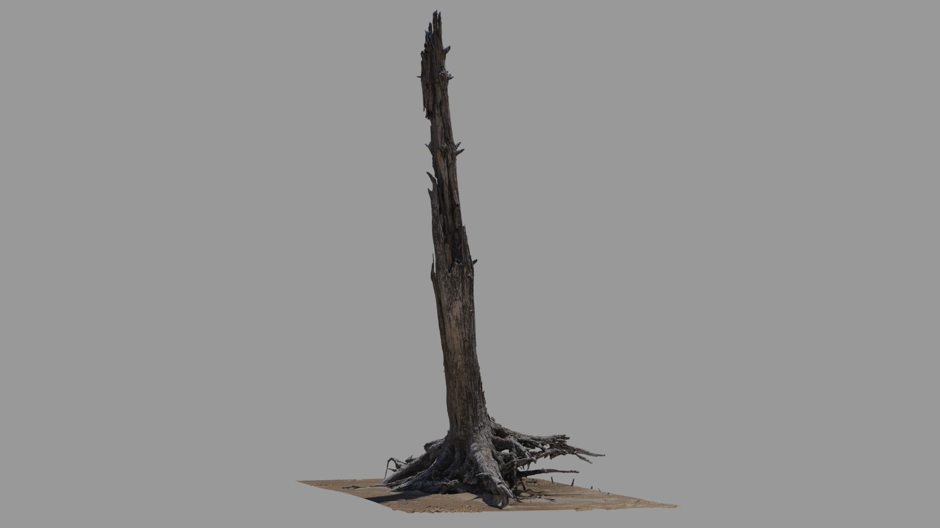 Dead Tree 022 3D Model - TurboSquid 2371322