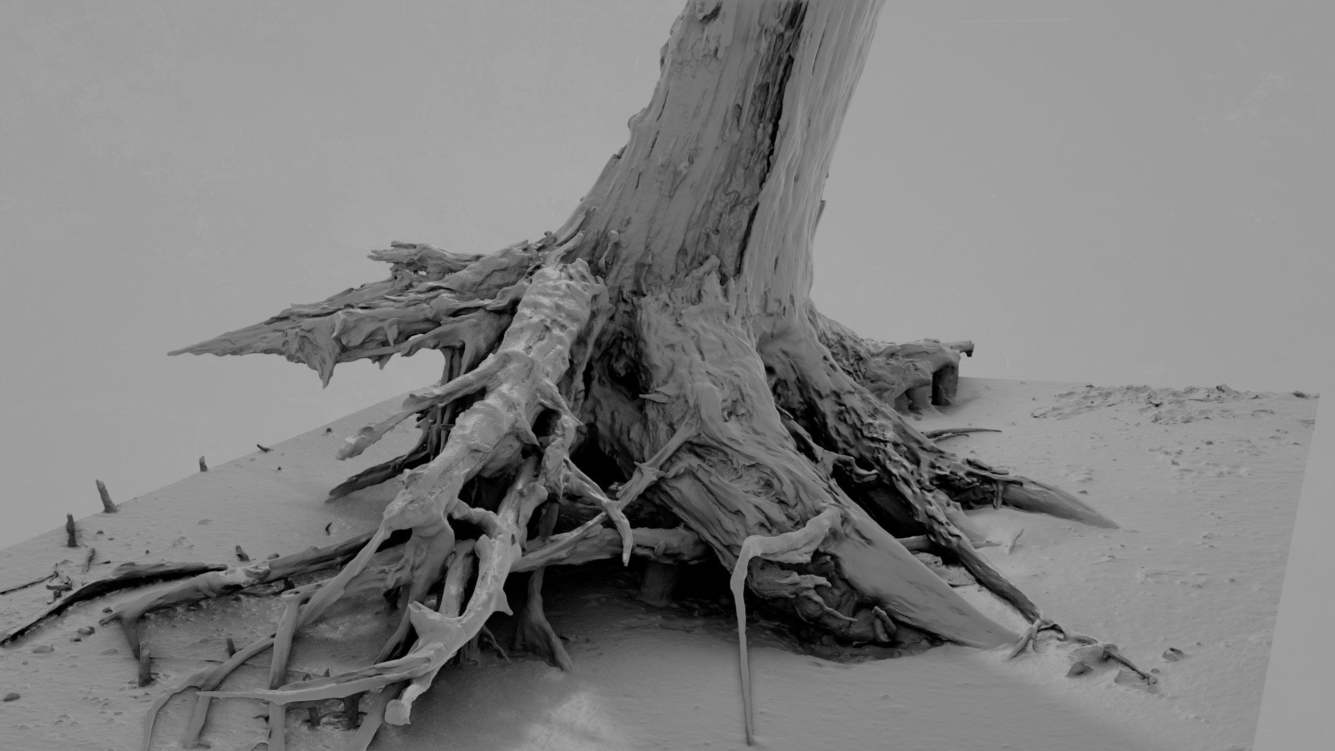 Dead Tree 022 3D Model - TurboSquid 2371322
