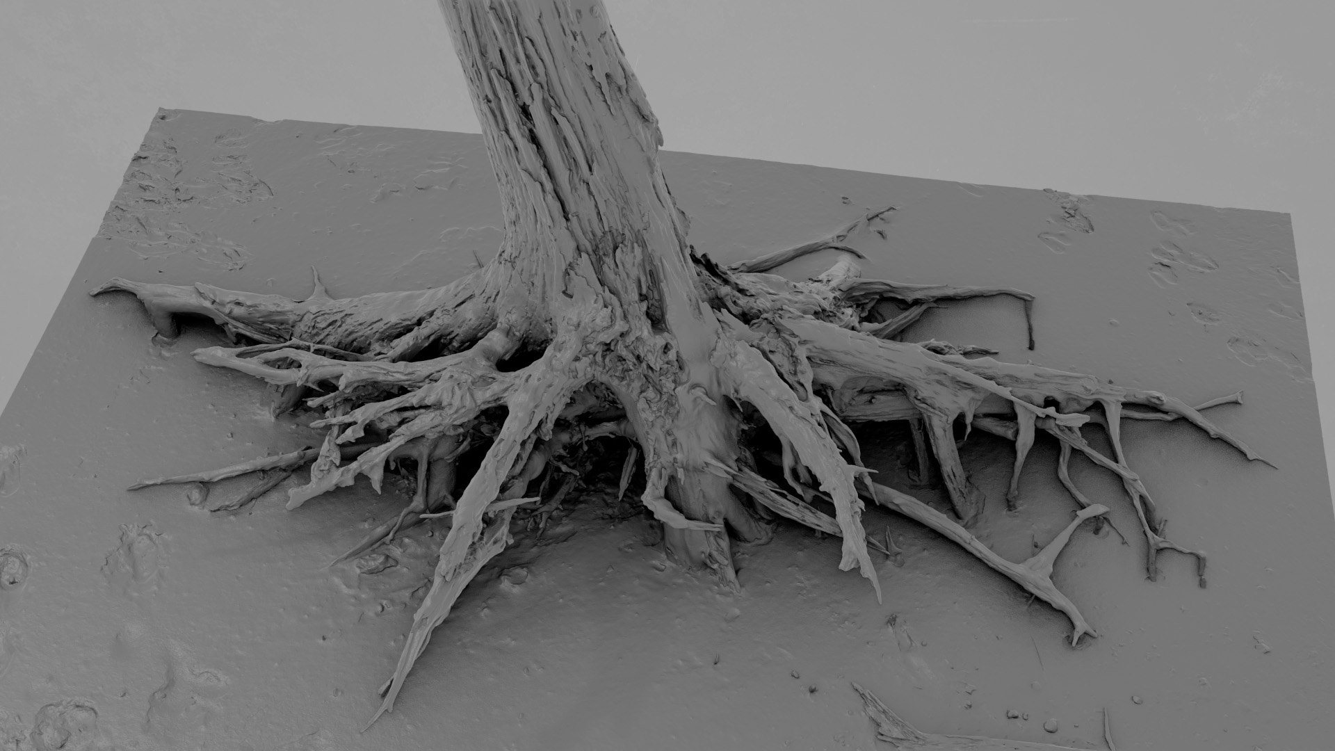 Dead Tree 022 3D Model - TurboSquid 2371322