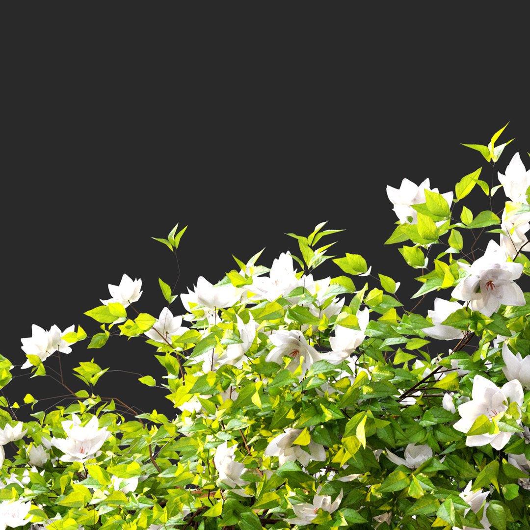 3D model Hanging Plant 15 https://p.turbosquid.com/ts-thumb/f5/0jtCD8/3m/preview6hppl/jpg/1661144135/1920x1080/fit_q87/3be3a8919bcf4e750cfa1519140b9a60acf1c0f6/preview6hppl.jpg
