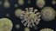 virus corvid-19 coronavirus corona Low-poly 3D model
