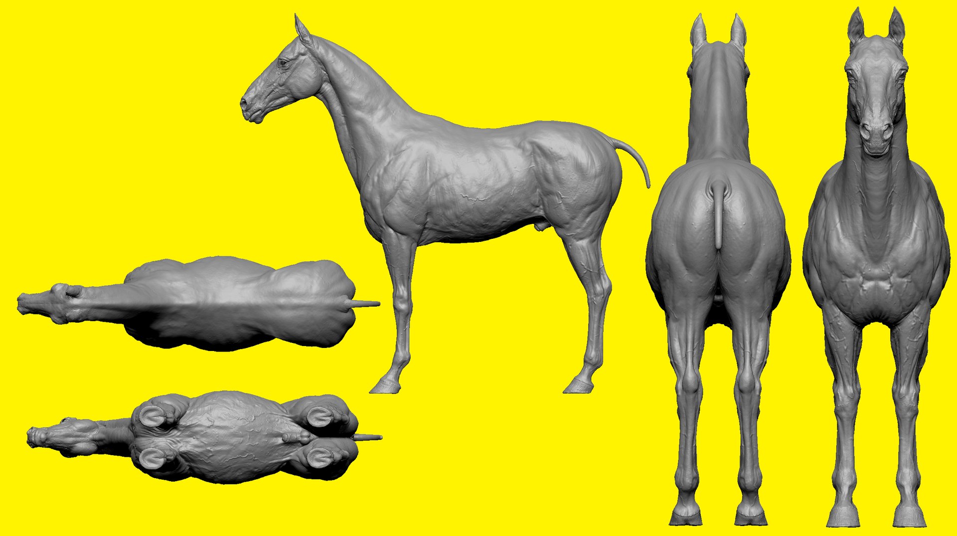3D model realistic horse basemesh animation https://p.turbosquid.com/ts-thumb/f5/4WgZ7T/14x0SrQC/b2/png/1587194379/1920x1080/fit_q87/2ea5c9b08e3970f8568c172b8a5450c9c5c646ae/b2.jpg