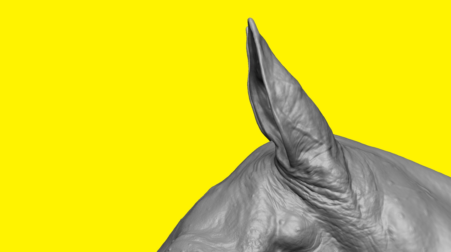 3D model realistic horse basemesh animation https://p.turbosquid.com/ts-thumb/f5/4WgZ7T/9G7kqYrQ/e1/png/1587194379/1920x1080/fit_q87/e1008616b26331478bacfb50065f08d3f84bb608/e1.jpg