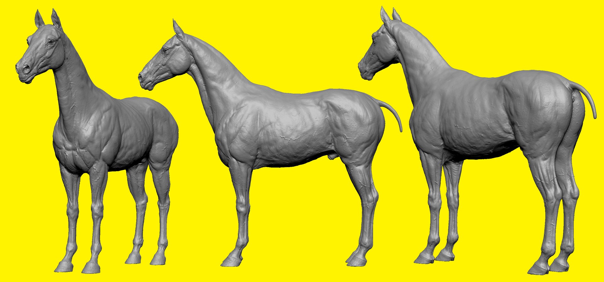 3D model realistic horse basemesh animation https://p.turbosquid.com/ts-thumb/f5/4WgZ7T/MaEhCZw3/b1/png/1587194379/1920x1080/fit_q87/24c8d4d673744b7baa5751a57406f8995af0f22b/b1.jpg