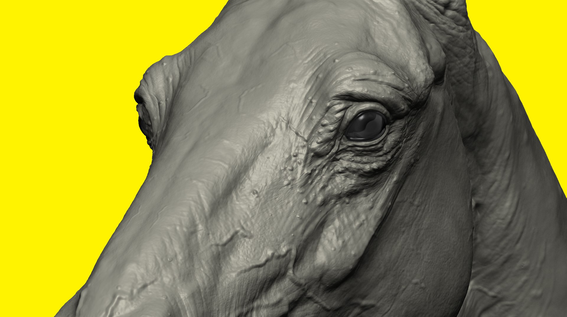 3D model realistic horse basemesh animation https://p.turbosquid.com/ts-thumb/f5/4WgZ7T/Mhn93aj6/h2/png/1587194379/1920x1080/fit_q87/f12bfa753ac3533138e84627d1ed8cec207fc3b9/h2.jpg