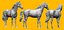 Basemesh de cheval réaliste