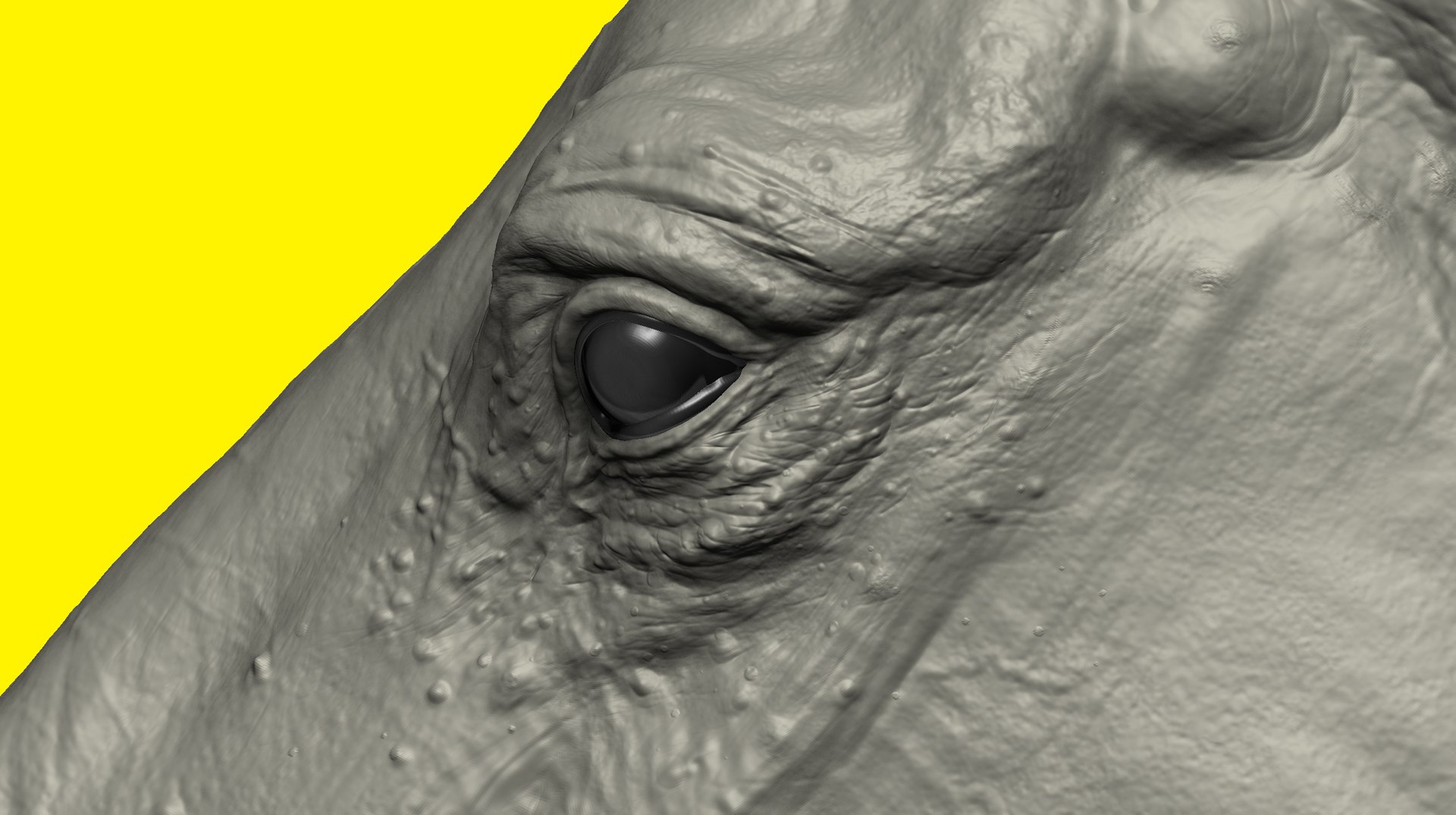 3D model realistic horse basemesh animation https://p.turbosquid.com/ts-thumb/f5/4WgZ7T/PUyXrxqv/h3/png/1587194379/1920x1080/fit_q87/d830f047f4938a414919dad1a4556dfc31585c77/h3.jpg