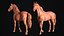 Basemesh de cheval réaliste