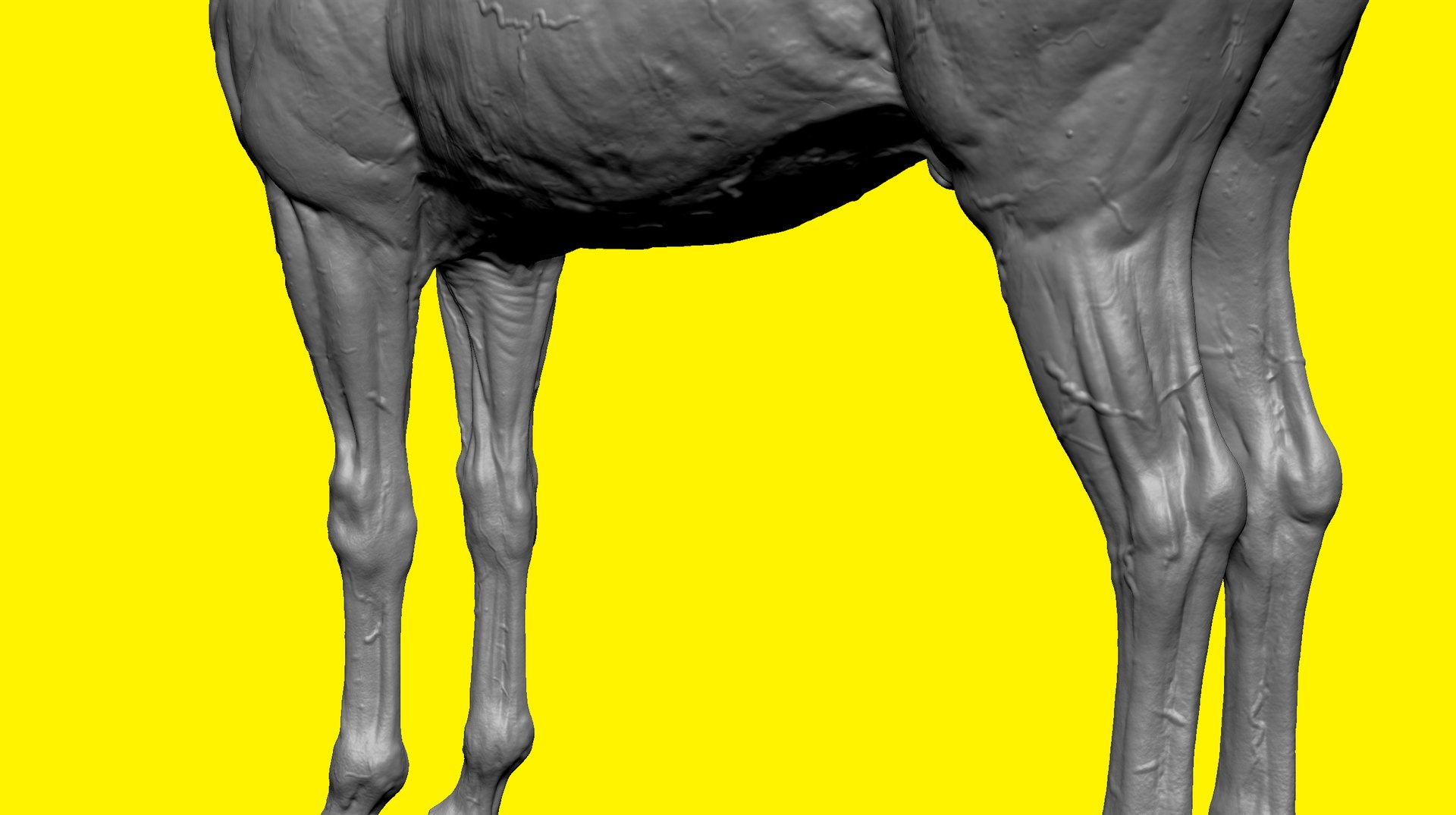 3D model realistic horse basemesh animation https://p.turbosquid.com/ts-thumb/f5/4WgZ7T/YXfORxdG/b3/png/1587194379/1920x1080/fit_q87/d59f9997f7ccdc830d0f18206b7d88ed72317551/b3.jpg