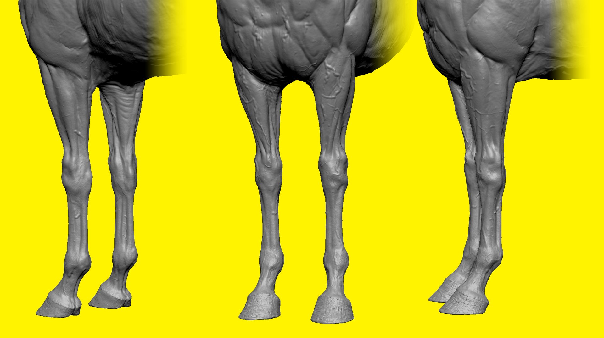 3D model realistic horse basemesh animation https://p.turbosquid.com/ts-thumb/f5/4WgZ7T/pzmR46JX/f1a/png/1587194379/1920x1080/fit_q87/4252225922dad0ab5e3539a350d51f4ca1edc6cd/f1a.jpg