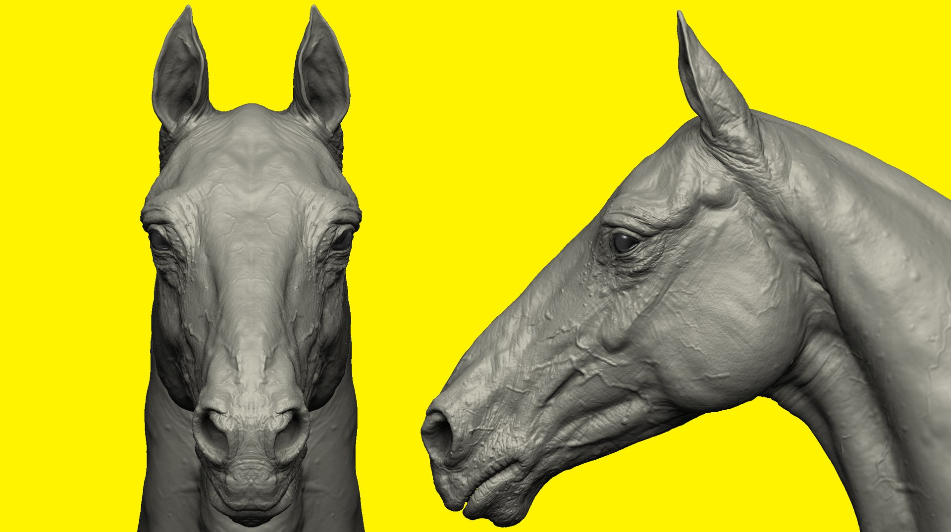 3D model realistic horse basemesh animation https://p.turbosquid.com/ts-thumb/f5/4WgZ7T/qMXQv1DR/h1/png/1587194379/1920x1080/fit_q87/368bcf1375ac3564433e8d86fe7a622d9ecc4e94/h1.jpg