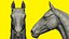 Basemesh de cheval réaliste