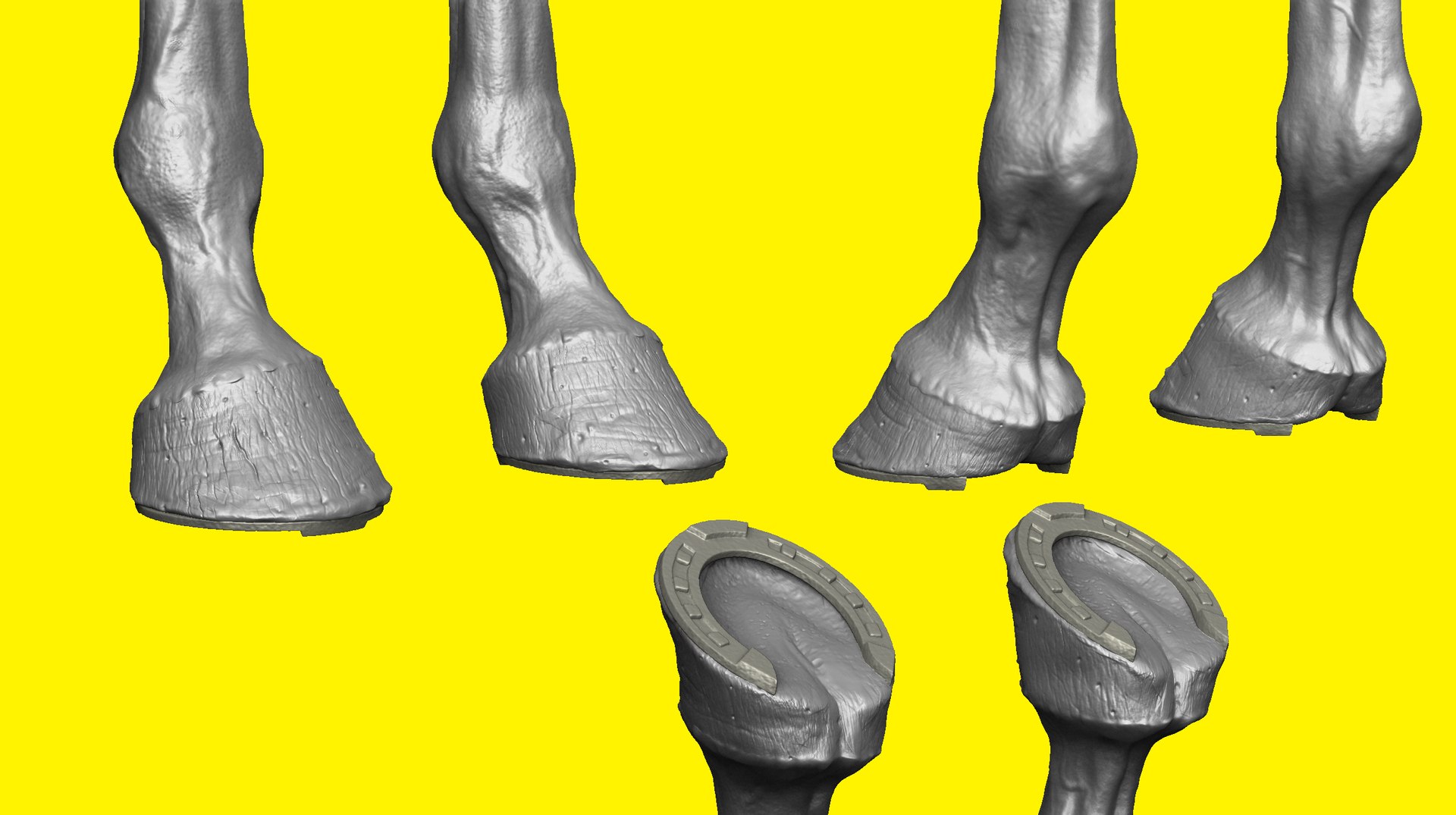 3D model realistic horse basemesh animation https://p.turbosquid.com/ts-thumb/f5/4WgZ7T/vQBM5xzP/f2/png/1587194379/1920x1080/fit_q87/59b7c9c90f33c291703fbacfaa106d62ab564961/f2.jpg