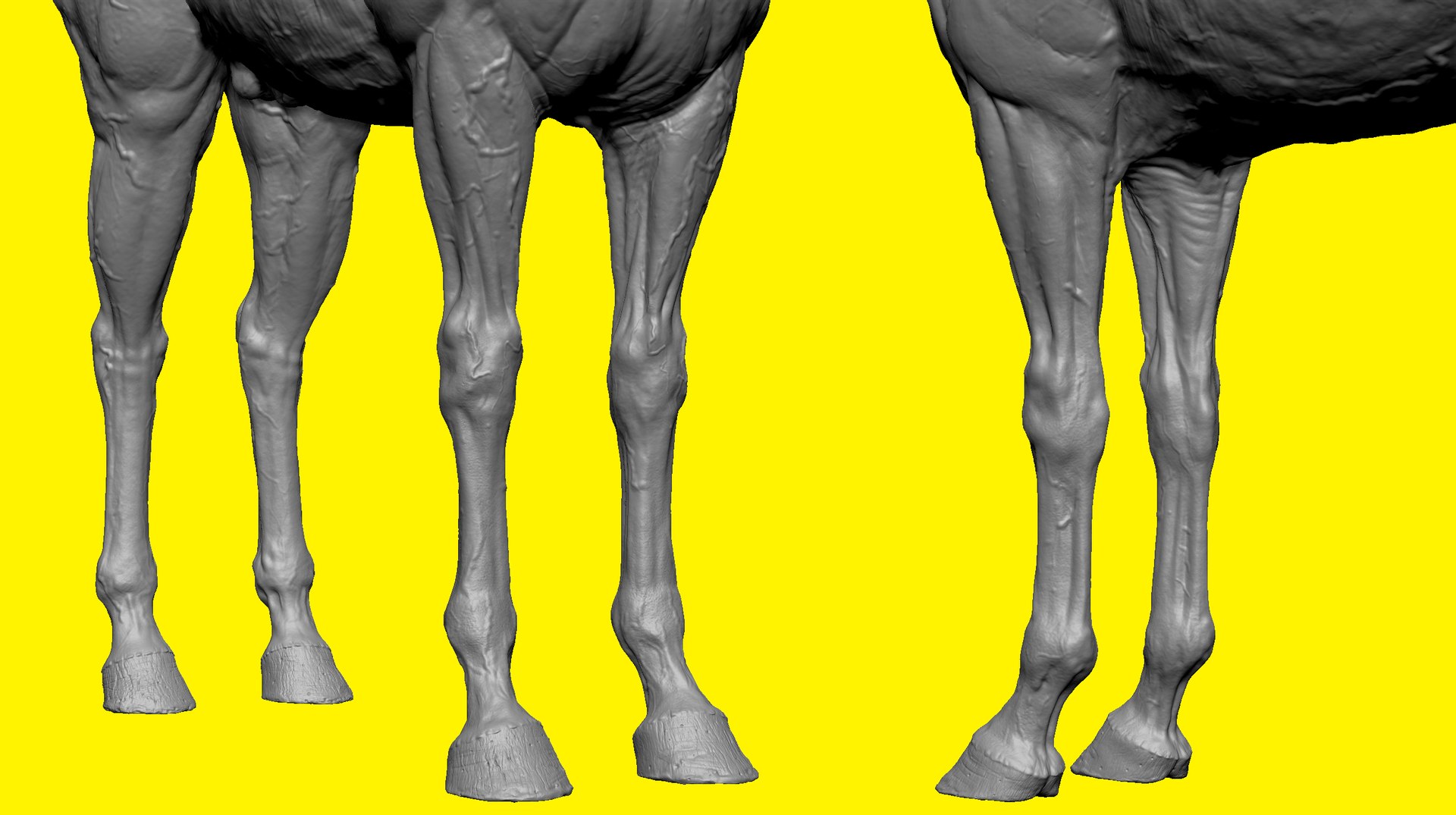 3D model realistic horse basemesh animation https://p.turbosquid.com/ts-thumb/f5/4WgZ7T/xPhMYTMW/f1/png/1587194379/1920x1080/fit_q87/45884661cd9b58725510249e17e4b1a0a9aa1881/f1.jpg