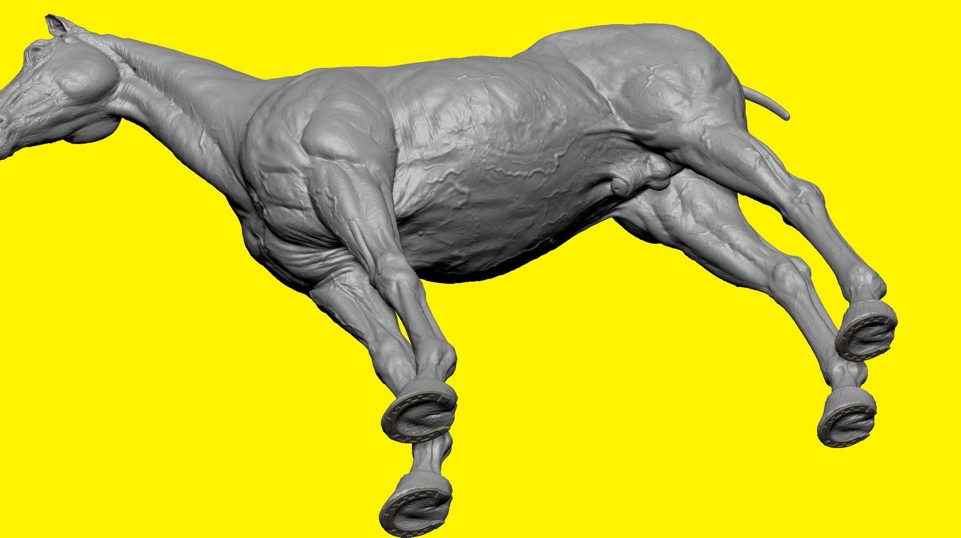 3D model realistic horse basemesh animation https://p.turbosquid.com/ts-thumb/f5/4WgZ7T/yJpzHWQp/b4/png/1587194379/1920x1080/fit_q87/5df1461e326ebc5df600a32848886d114e4a23ef/b4.jpg