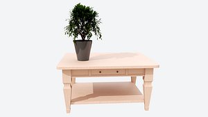 center wood table 3D model