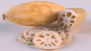 3D root food vegetable fruit model