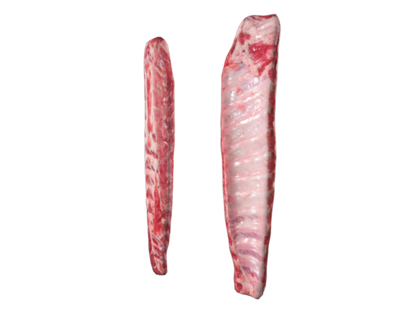 3d Beef Rib Model