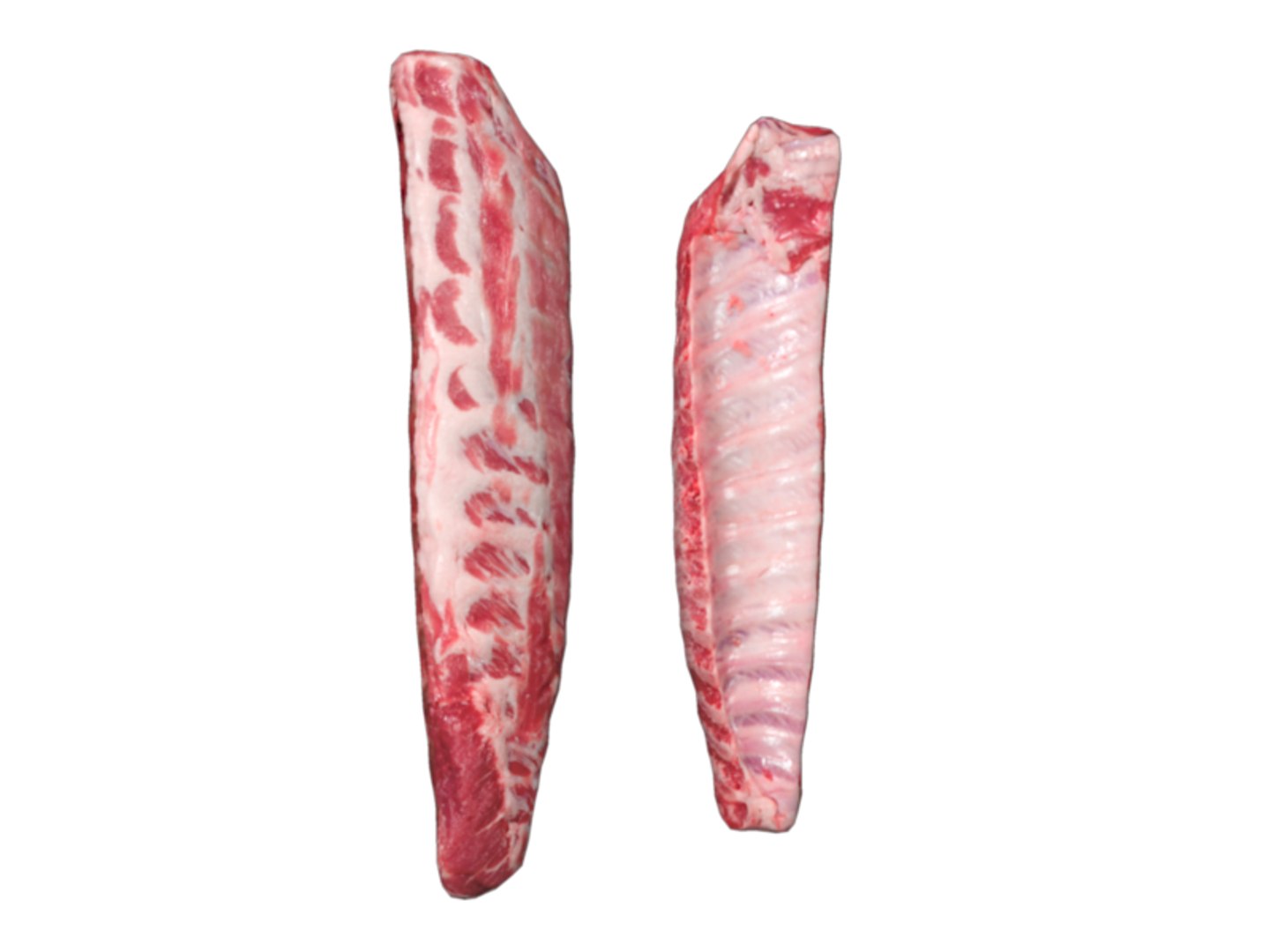 3d Beef Rib Model