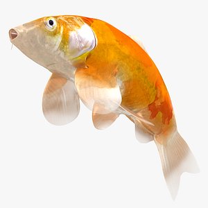 3D model Japanese Carp Fish Rigged L1850