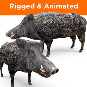 3D model wild boar rigged animation