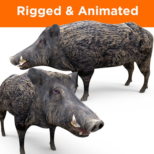 Wild boar rigged animation 3D model - TurboSquid 1253508