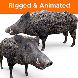 Boar Rigged & Animated