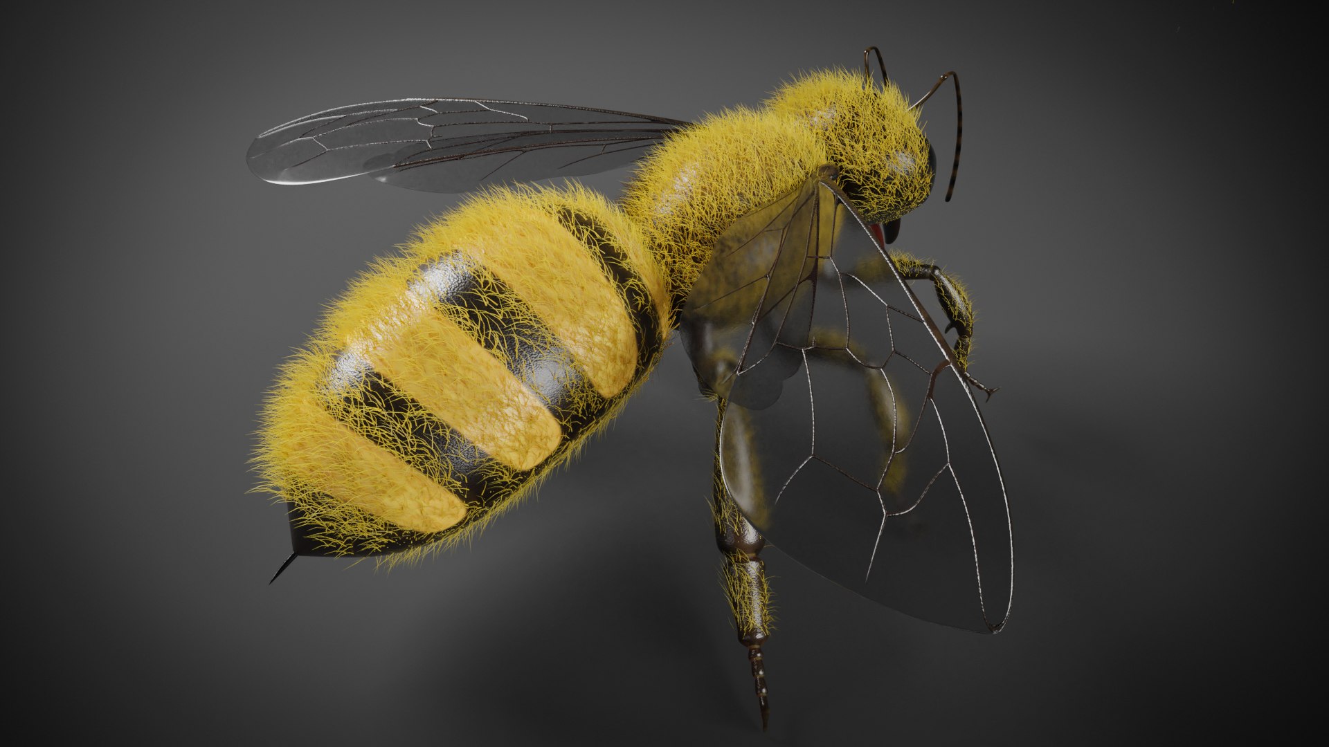 honey bee insect wings 3D model https://p.turbosquid.com/ts-thumb/f6/Foi0yv/hVnf9mAE/render55/png/1600475957/1920x1080/fit_q87/4cd09ba6ddb78ab9019e1da238fa8a31d542be0b/render55.jpg