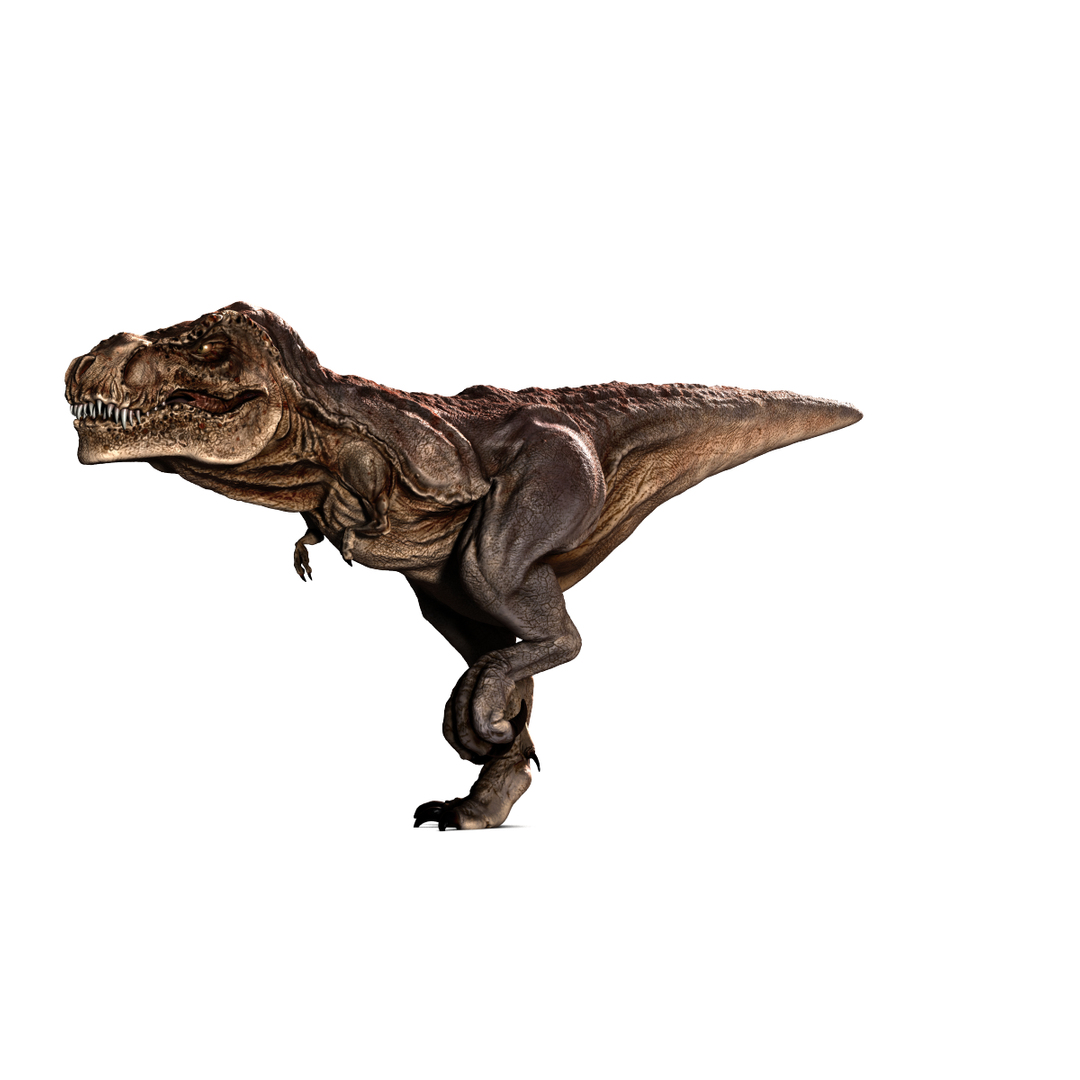 Tyrannosaurus Rigged Rex 3d Model