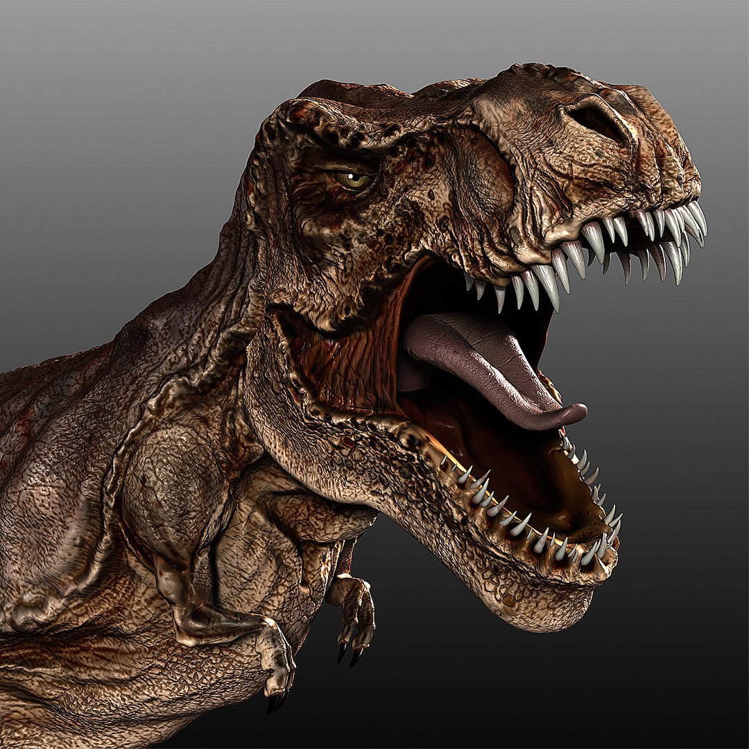 Tyrannosaurus Rigged Rex 3d Model