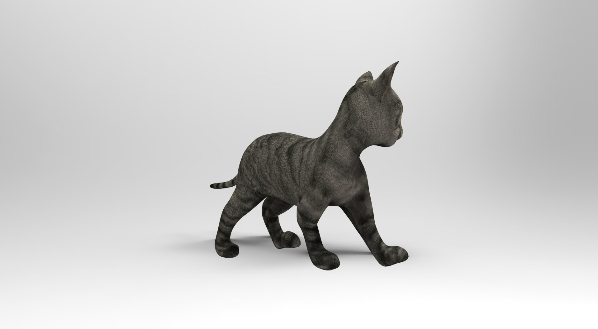 3D Model Cat Rigged Animation - TurboSquid 1204666