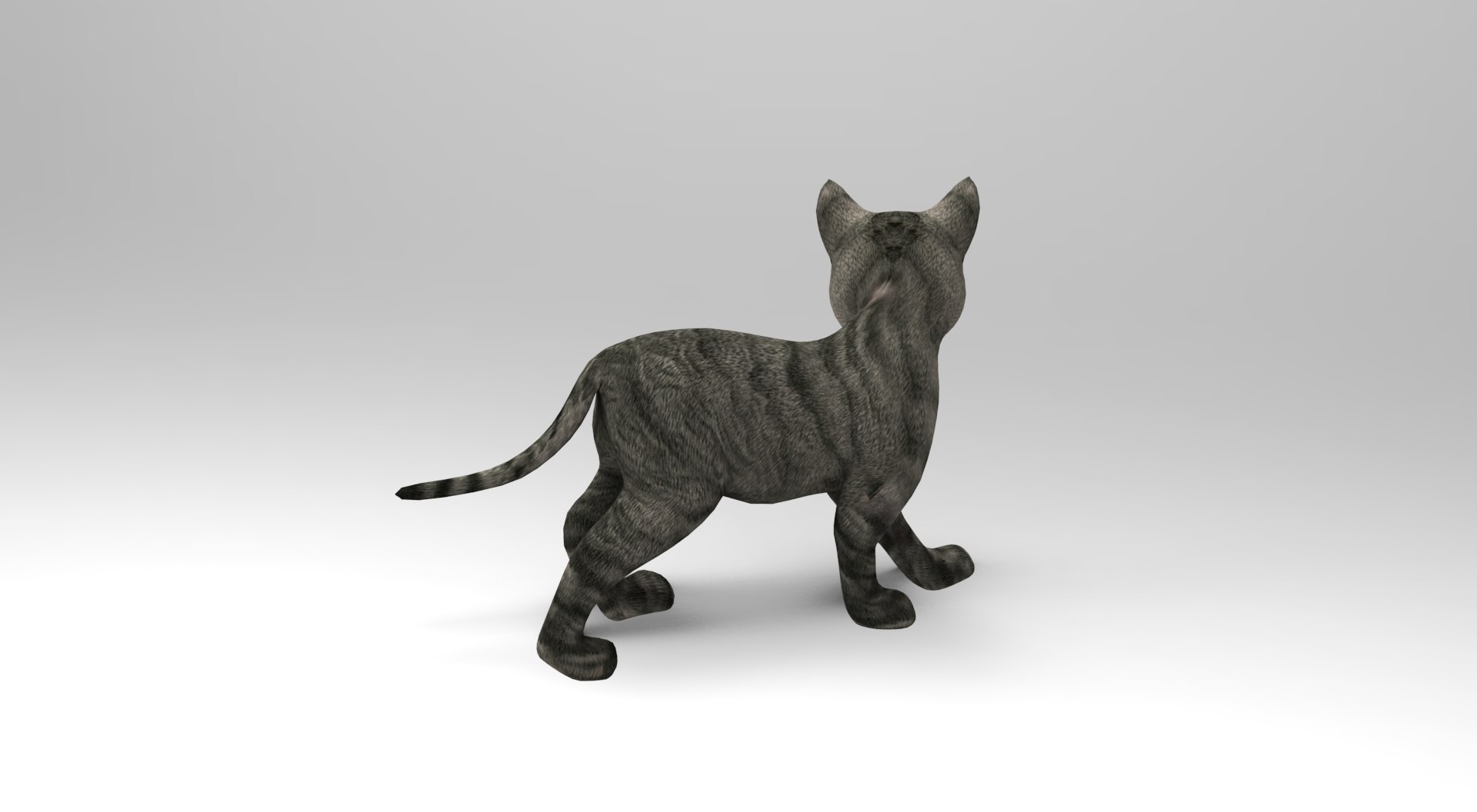 3D Model Cat Rigged Animation - TurboSquid 1204666