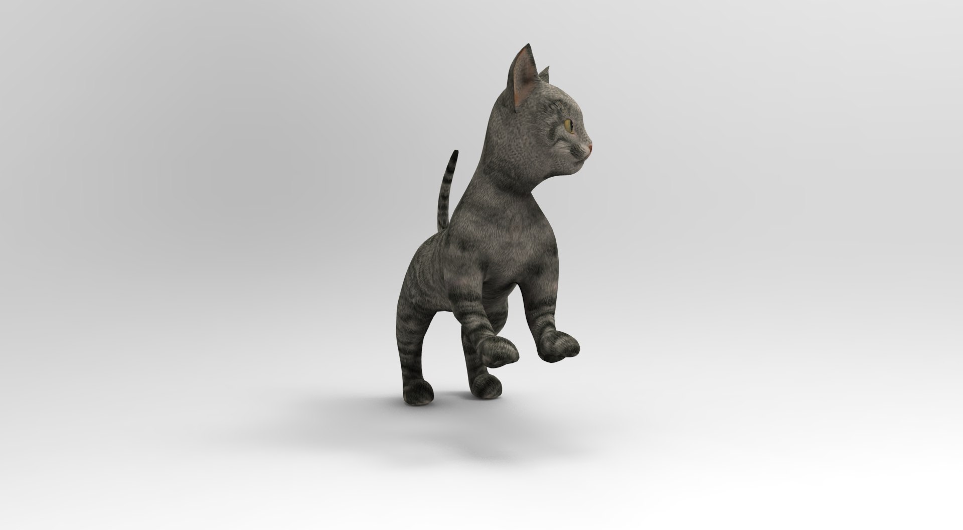 3D Model Cat Rigged Animation - TurboSquid 1204666