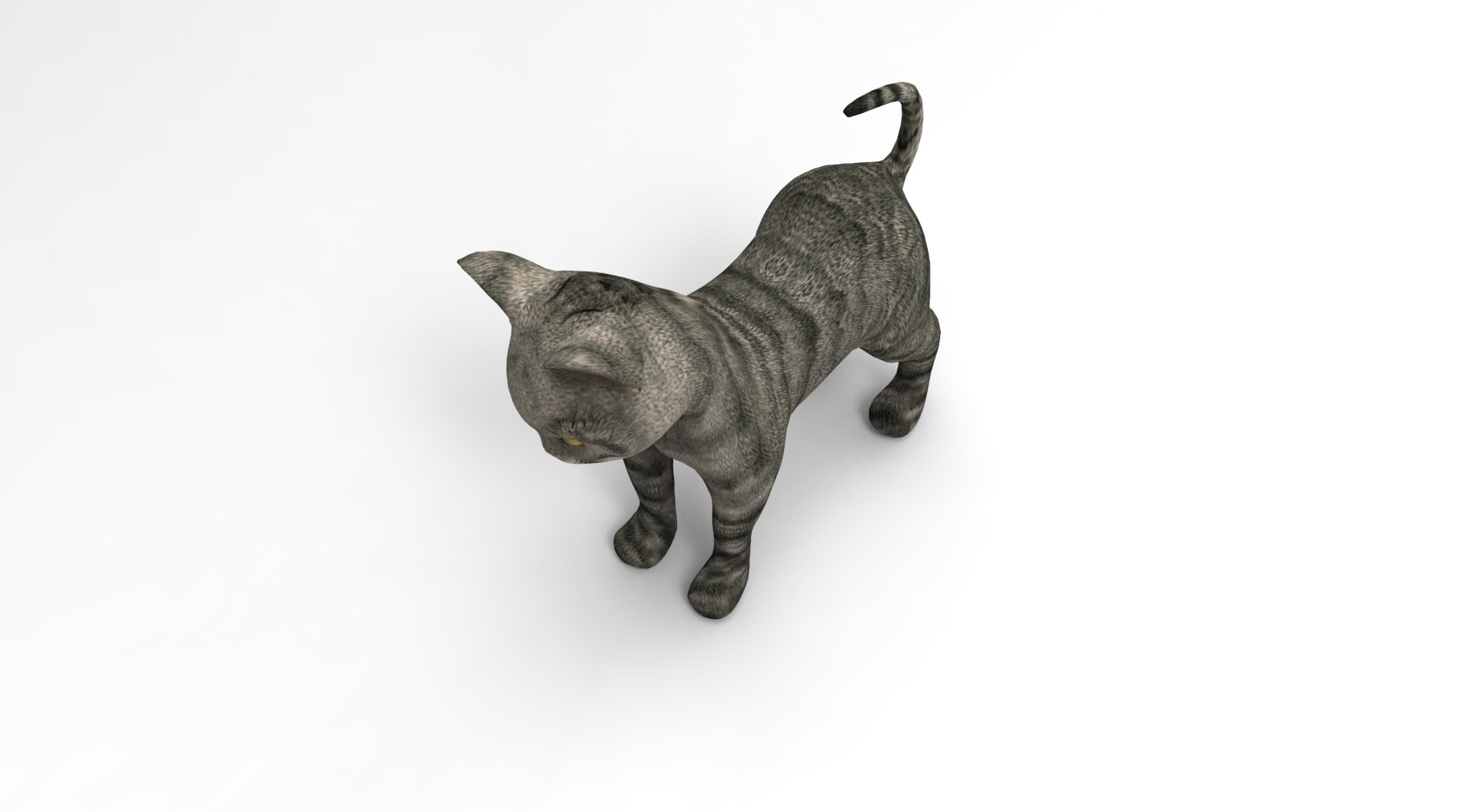 3D Model Cat Rigged Animation - TurboSquid 1204666