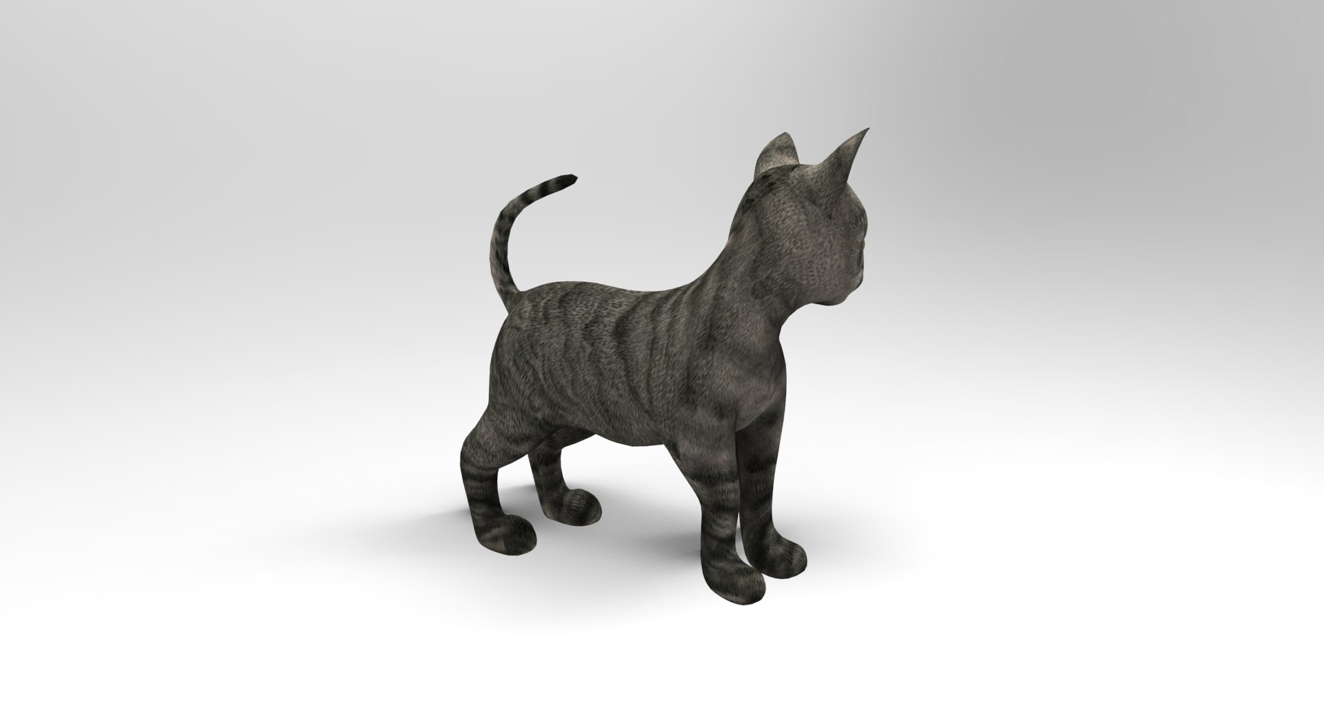 3D Model Cat Rigged Animation - TurboSquid 1204666