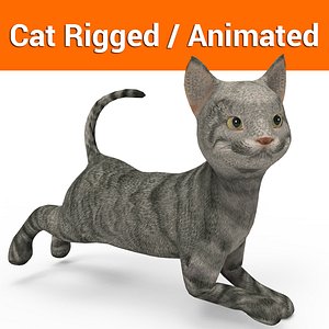 cute cat rigged animated